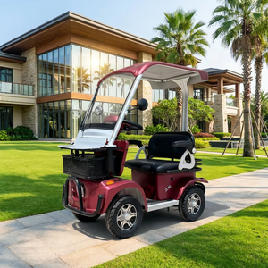Buggy de Navette Électrique <span class=keywords><strong>2</strong></span> Places à 4 Roues pour Hôtels, 800W 60V, Roues en Alliage, Contrôleur 15 Tubes, Toit, pour le Transport Quotidien des Clients - Product Image 1