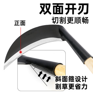 Hoz de Jardín Kyushu de 52 cm, Herramienta Agrícola de Acero al Manganeso para Cosechar Maíz, Arroz y Trigo - Product Image 2