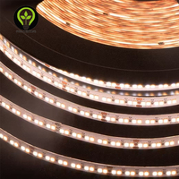 DC24V double blanc CCT réglable LED bande Flexible 2700-6500K connectivité USB télécommande IP20 192LEDs/m 120LEDs/m 240LEDs/m