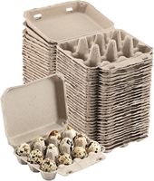 Carton à œufs de caille 3x4 douzaines en pâte naturelle vierge, support de rangement pour œufs de caille pour réfrigérateur
