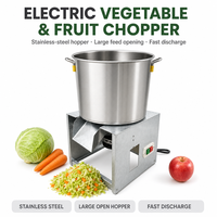 Commerciële elektrische groente- en fruit snijmachine, multifunctionele crusher voor kool en voeder.