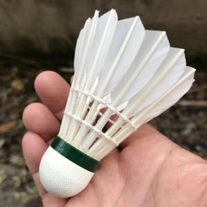 Volantes de entrenamiento de bádminton para interiores, pluma de ganso, precio barato, Exportación de Corea del Sur, buena calidad - Product Image 3