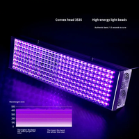 Lampe UV portable en alliage d'aluminium Raylights, machine de durcissement UV, revêtement d'encre, gel sans ombre, lampe LED UV395 à refroidissement par air, 3 ans