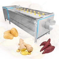 Orme Groente 50Kg Ozon Ultrasone Fruit Taro Root Washer Peeler Palm Pit Schoon Machine