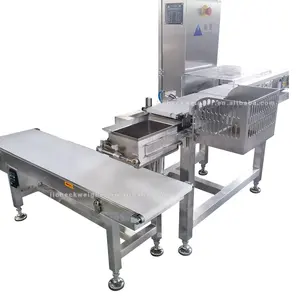 High precision food online check weight auto weighing machine automatic check weigher