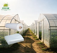 Film de couverture de serre robuste en plastique transparent pour la protection des tunnels de culture et des jardins potagers