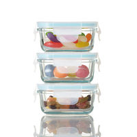 Récipient en verre pour aliments pour bébé, Mini boîte à déjeuner avec couvercle