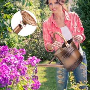 3L उद्यान पानी डिब्बे जस्ती धातु पानी कर सकते हैं के साथ तांबा इनडोर और आउटडोर बागवानी के लिए उभरा विंटेज डिजाइन - Product Image 6