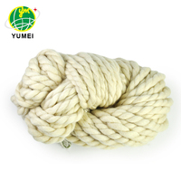 Wholesale Raw Fancy Wool Worsted Yarn 8000Tex Sewing Use 100% New Zealand Wool Yarn