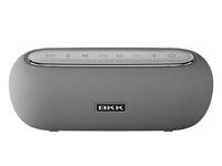 Enceinte portable BKK X600 IP65 étanche V5.3 avec lumière RGB et deux microphones pour karaoké