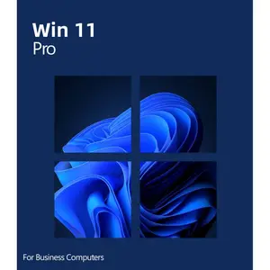 本物のWin 11 Professional Oemキー100% オンラインアクティベーションWin 11 Pro Oemライセンス1 PC Win 11 ProキーAliページで送信