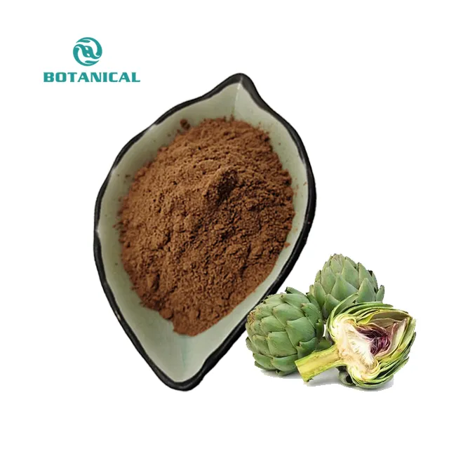 B.C.I Supply Wholesale Factory Price Pure Herb Artichoke Extract 5% Cynarin Artichoke Leaf Extract Powder