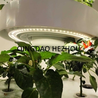 Système de culture hydroponique automatique intelligent Hezhou HZ-100 avec éclairage LED intérieur, technologie brevetée, certifié ISO9001 pour la maison