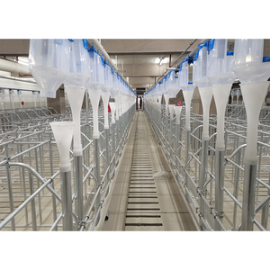 Chăn Nuôi Gian Hàng Lợn Trang Trại Thiết Bị Farrowing Mang Thai Thùng/Lồng/Gian Hàng Cho Lợn/Lợn nái - Product Image 1