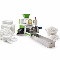 Granulateur de recyclage de mousse EPS sur mesure, machine de pelletisation à vis simple, prix usine