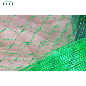 <span class=keywords><strong>Malla</strong></span> de plástico PE antiaves con servicio de corte para agricultura, red de niebla de nylon UV para protección de vegetales en granjas - Product Image 1