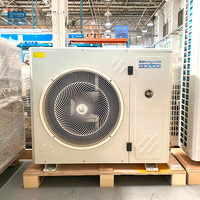 Koelcelvriezer Koelunit Copeland Compressor Motor Luchtgekoeld voor Supermarkt Restaurant Fruit Groente Opslag