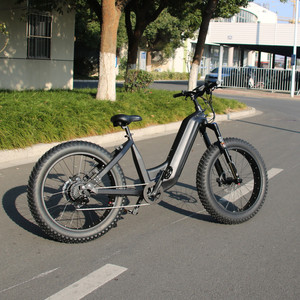 Bicicleta Eléctrica con Motor Trasero de 750W, Batería de 48V 15Ah/30Ah, Velocidad de 50KM/H, HD750 750W Motor Trasero - Product Image 2
