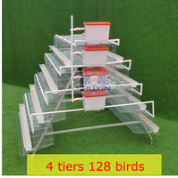 Système d'abreuvement pour élevage avicole pour cage à poules pondeuses automatique avec mangeoire et abreuvoir Batterie de poulets à vendre