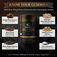 NuCoreBio Gummies de Shilajit de l'Himalaya de qualité alimentaire KSM-66 Ashwagandha, enrichies en vitamines et acide fulvique 60%, sans sucre, 3000mg par portion