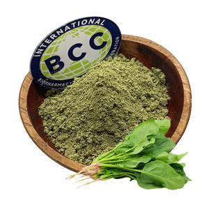 Polvo de Espinaca Vegetal en Polvo Secado por Aspersión a Granel - Product Image 1