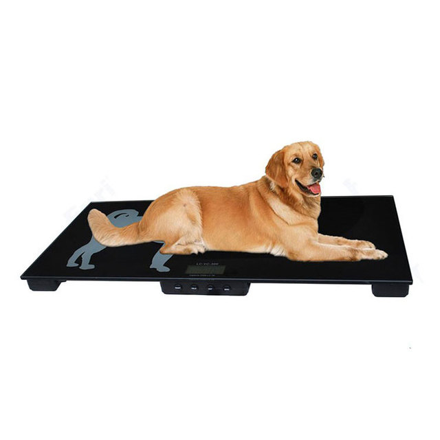 Electronic Weighing Digital Platform Counting 150kg 300kg Pet Scale With Welded Carbon Steel Frame