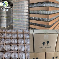 Bouteille de bière en verre transparent à col long de 330 ml (33 cl) avec bouchon couronne – Vente en gros