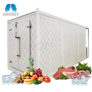 Factory Supply Fish Vegetable And Meat Blast Freezer Room Cold Storage Container