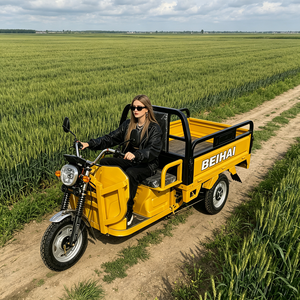 Scooter Eléctrico de Tres Ruedas BEIHAI 2026, Mini Scooter Económico de 60V 2000W, Triciclo de Pasajeros de 3 Ruedas para Adultos - Product Image 1