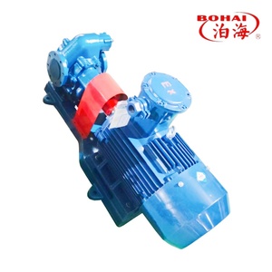 Pompa a ingranaggi per petrolio grezzo in acciaio inossidabile autolubrificante elettrica a bassa pressione 10hp con valvola limitatrice di pressione per diesel - Product Image 2