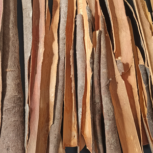 BÂTON DE CANNELLE CASSIA CASSÉ CASSÉ CASSÉ DE HAUTE QUALITÉ DU VIET NAM - Product Image 1