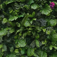 Mur végétal artificiel en feuilles de palmier et fougère de Boston 5D de 8 x 8 pieds, rideau enroulable artificiel, mur de fleurs