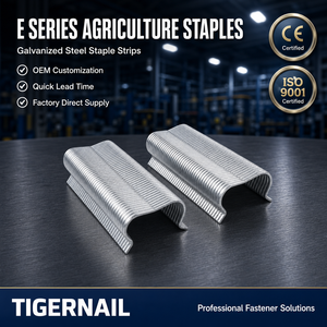 <span class=keywords><strong>Agrafes</strong></span> <span class=keywords><strong>de</strong></span> clôture en fil métallique galvanisé <span class=keywords><strong>de</strong></span> qualité agricole série E pour clôtures et treillis agricoles - Product Image 1