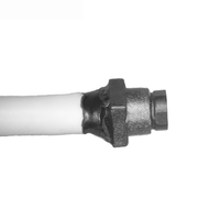 Lentille en verre Mini 2MP 5MM D100 D70 1080P 60FPS Module de caméra endoscope d'inspection gynécologique USB UVC avec capteur de caméra OV2740