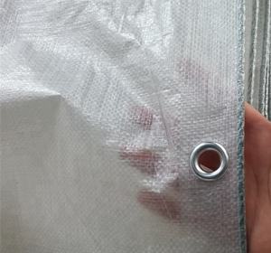 14 MIL Robuste Translucide View Premium Bâches En Poly pour <span class=keywords><strong>Toile</strong></span> Camping Couverture et Serre Bâche - Product Image 6