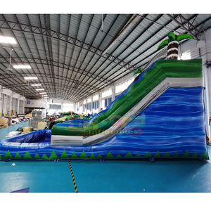 Tobogán acuático inflable tropical de doble carril, castillo inflable comercial para niños con piscina. - Product Image 4