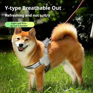 Futurepets สายจูงสุนัขพร้อมสายจูงรูปตัว Y สำหรับสุนัขขนาดใหญ่ทนทานไนลอนสีแดงสีดำสีฟ้าสำหรับสัตว์เลี้ยงเดิน - Product Image 5