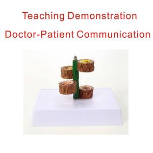 Modelo vascular humano anatómico de cuatro etapas para la ciencia médica que ilustra la <span class=keywords><strong>arteriosclerosis</strong></span> y la <span class=keywords><strong>enfermedad</strong></span> vascular - Product Image 4