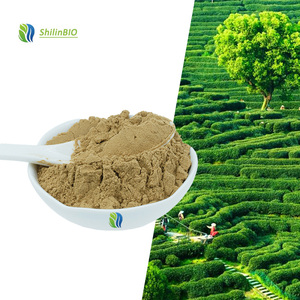 SLBIO Extrait de graines de <span class=keywords><strong>Camellia</strong></span> Sinensis 99% Poudre de saponine de thé Tensioactif Saponine de graines de thé - Product Image 3