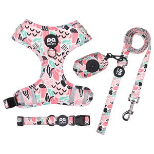 사용자 정의 2025 그라디언트 옹 브르 색상 폴리에스터 개 고리와 가죽 끈 세트 일치하는 애완 동물 액세서리 - Product Image 1