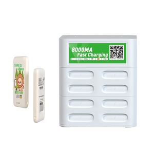 Estación de Carga Compartida Multiestándar Tipo-C de Carga Rápida Welink de 30 W, Enchufe Fácil de Alquilar, Uso en Japón, Material de PVC con Certificación Un38.3 - Product Image 2