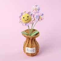 2026 Karya Rajut Tangan Baru Mini Bunga Anggrek Phalaenopsis dari Katun DIY dalam Pot Vas untuk Dekorasi Rumah dan Mobil
