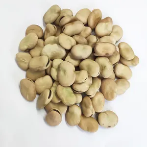 Qinghai origin Chinese fava beans broad beans non gmo