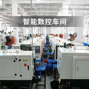 Vanne d'arrêt en laiton sur mesure DN15 20 25 avec structure à diaphragme, vanne à bille à double filetage interne 4/8/8/1 pouce - Product Image 2