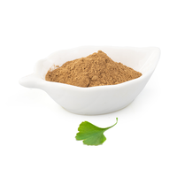Extrait de Ginkgo Biloba Naturel en Vrac, Standard EGb 761, Qualité Alimentaire, Matière Première Végétale, Poudre pour Complément Alimentaire