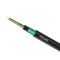 Kabel Serat Optik Mode Tunggal GYFTY53 4-72 Core Non-Metalik Bawah Tanah Berlapis Baja untuk Luar Ruangan dengan Kawat Baja