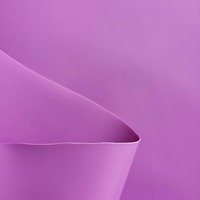 Tissu PVC tissé 500D 18x18 imperméable violet de qualité supérieure pour Air Dancer, idéal pour les événements haut de gamme