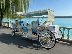 Charrette touristique électrique vintage <span class=keywords><strong>de</strong></span> luxe à 4 roues, stable, pour le transport <span class=keywords><strong>de</strong></span> passagers - Product Image 3