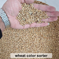 Trieur optique de grains de café, de riz et de céréales, équipement de tri optique, machine industrielle de tri de grains haute précision