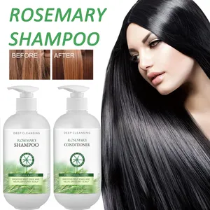 Private Label Kopfhaut Haarpflege Nachwachsen Behandlung Anti Schuppen Öl Kontrolle Bio Rosmarin Minze Shampoo und Conditioner Set